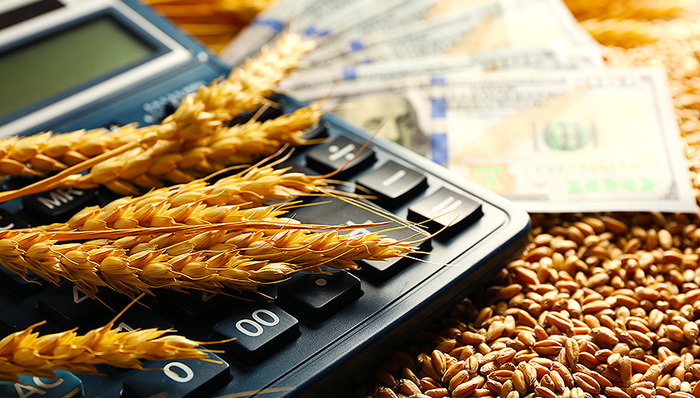 上市公司,农业类,虾夷扇贝,獐子岛,人祸,靠天吃饭,天灾,说说清楚,演绎,中小投资者