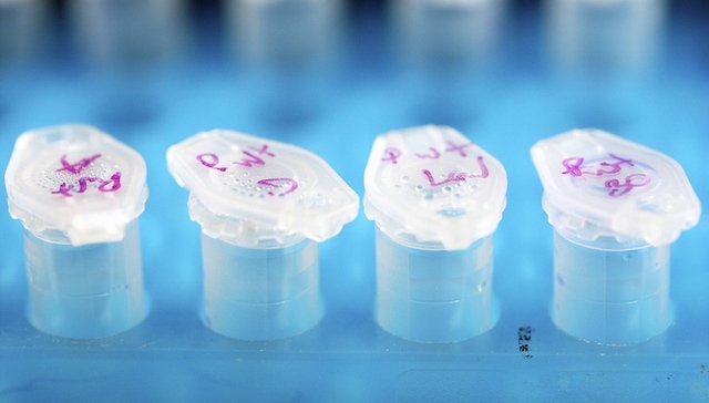 农业部,转基因,生物安全