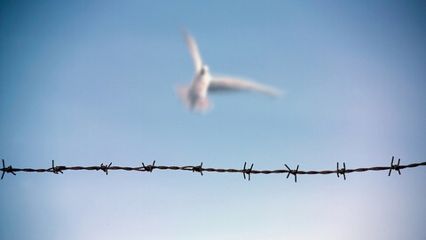 沪服刑者今日离监探亲，想帮爸爸捶背给妈妈洗脚