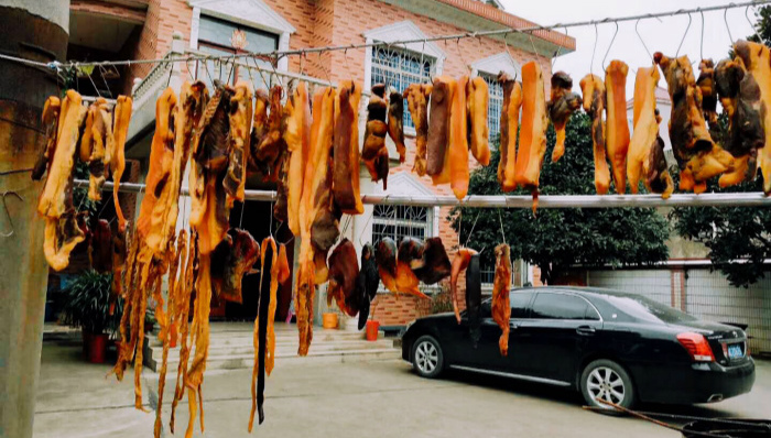 春节,春节回乡记