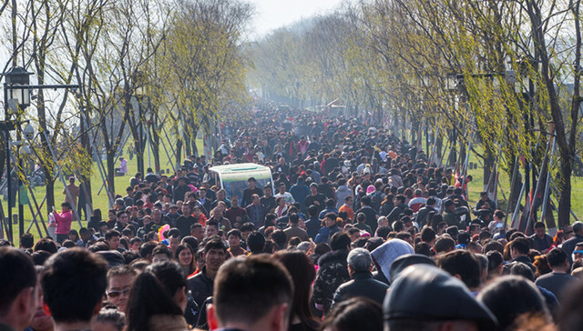 国家旅游局,旅游收入,春节假日