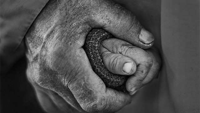 扶贫攻坚,6800万,脱贫质量