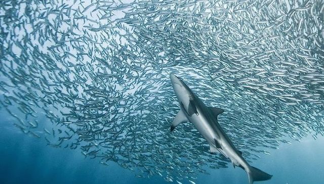 高赋能,授权,权利,任正非,员工,管理模式,变革,团体