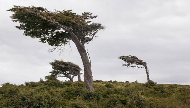 中央气象台：明起我国多地大风降温 南方阴雨天气将持续