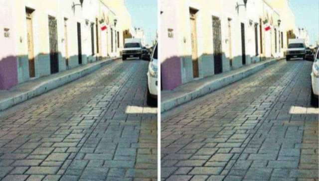 这两张照片其实是同一张，连角度都没变…