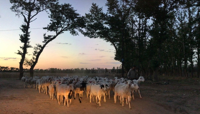 文化,春节回乡记