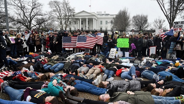 美国枪击案,美国枪控