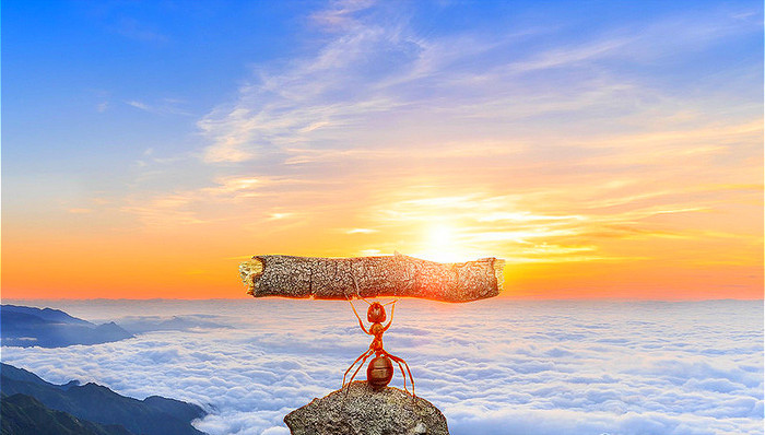 领导者,七力模型,执行力,平衡力,道德力,职业生涯