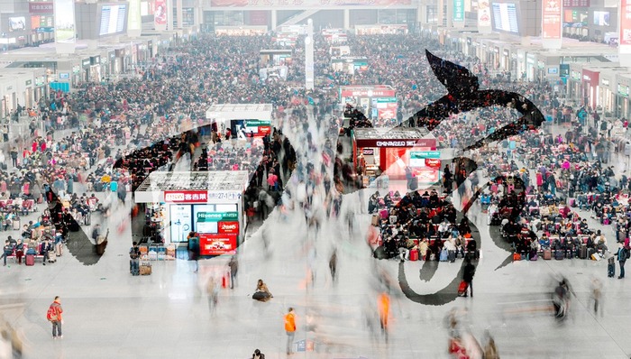 宏观眼,春节回乡记