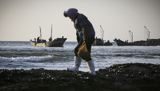 北黄海,海洋牧场,证监局,集团发布公告,风险防控,虾夷扇贝,起底,命案,央视,死亡