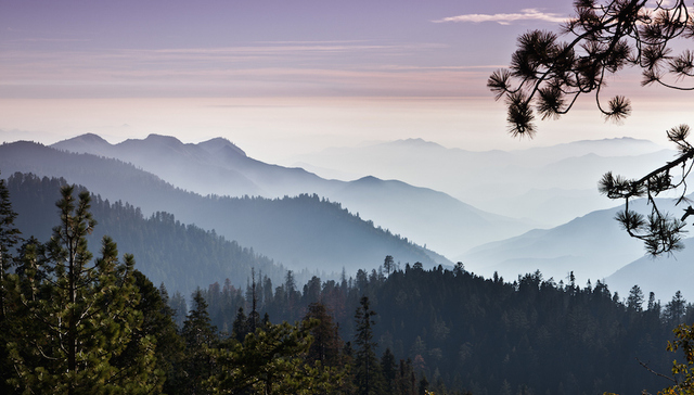 加拿大林业投资商机：中资该怎么和环保组织打交道？