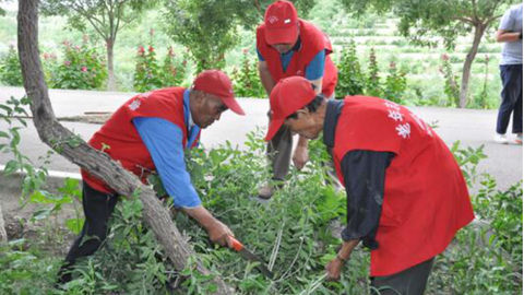 【新春走基层】基层党员李洪启：用退休生活耕耘镍都绿色