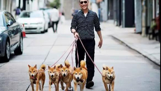 陈幼坚带你放慢脚步重温不一样的香港