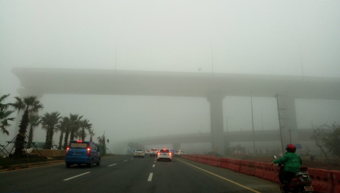 海口,大雾,滞留车辆