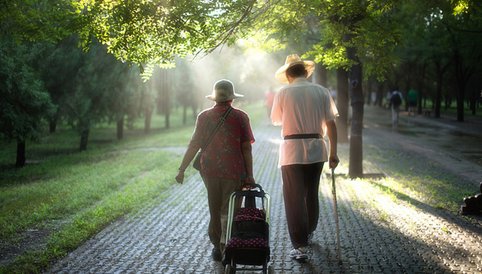 老龄社会,老年人口,人口数量