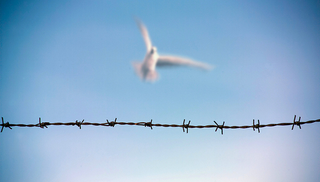 卢恩光,感恩父母,五假,副乡长,入睡,默念,入党材料,单位行贿罪,入党申请书,往事