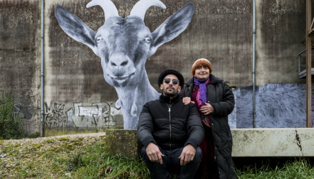 【奥斯卡】提名纪录片一览：私人情感弥漫于事件追述