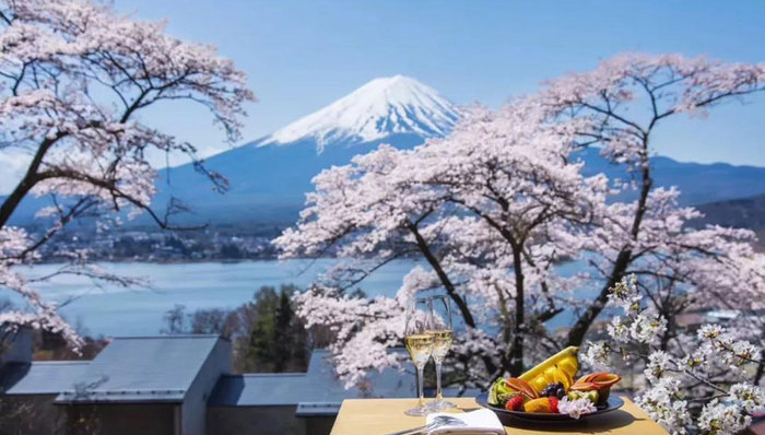 在粉色的日本早春，这五家酒店是说走就走的懒癌福音