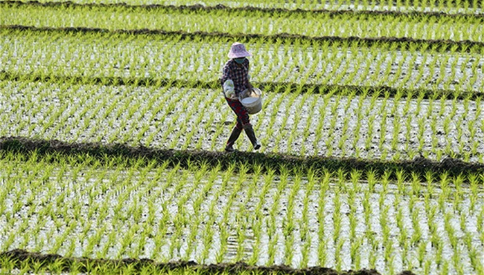 蓝皮书,中国测绘科学研究院,种植,人口计生委,中国地理国情蓝皮书,人均占有量