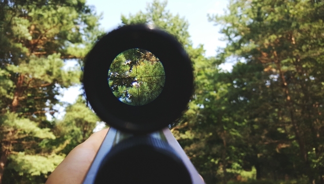 步森,股份,刘钧,罗生门,控制权争夺,控权,上市公司,深交所,间接持有,独董