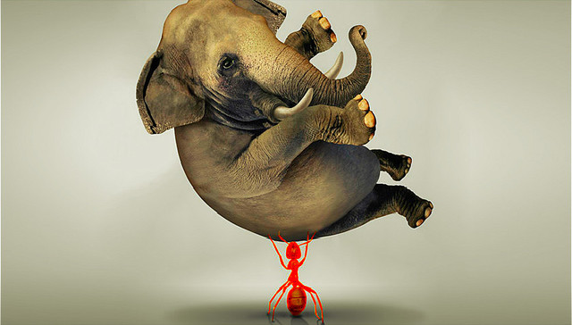 沃尔玛,宜家,永辉超市,ZARA,IBM,柳传志,德鲁克