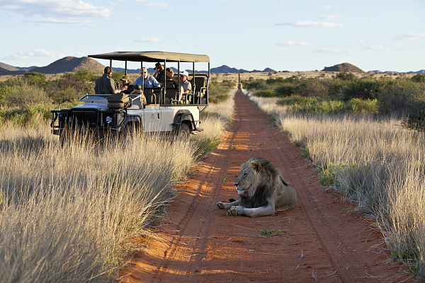 去南非狩猎、在纳帕谷品酒 中国中产爱去哪儿旅行