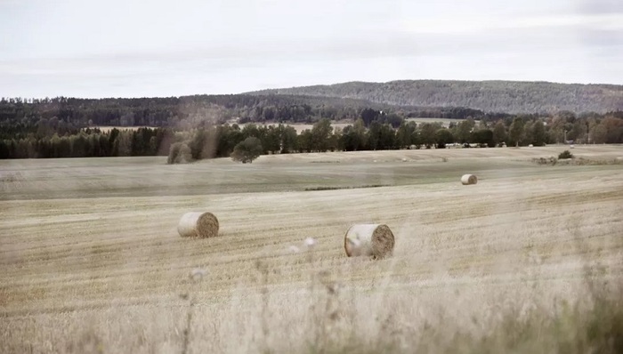 农舍也能这么酷？这间乡村小屋给你答案