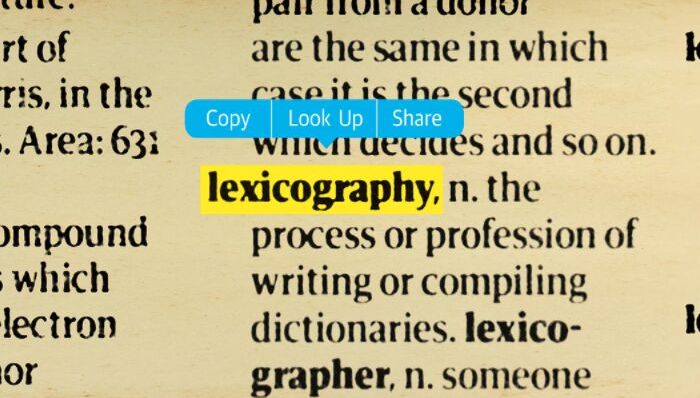 互联网,牛津词典