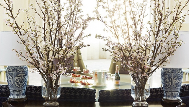 【一周享乐指南】怎么计划三月才不负春光？