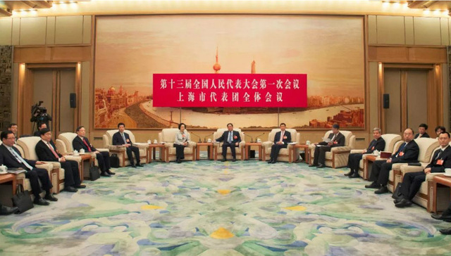 极限载荷,主场,通办,营商,环境改革,走亲戚,政府工作报告,放管服,生态岛,长三角地区