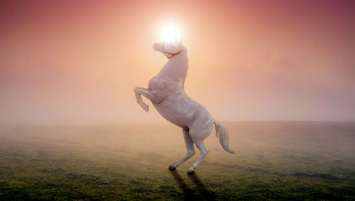 120家企业总估值3万亿！独角兽回A倒计时，谁才是真龙头？