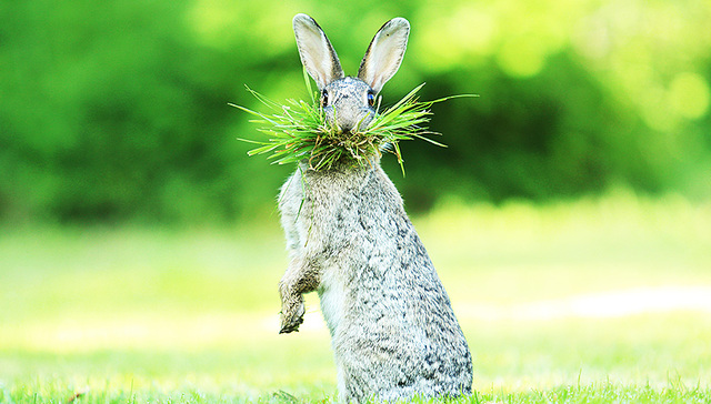 这是我活到现在最努力的一次