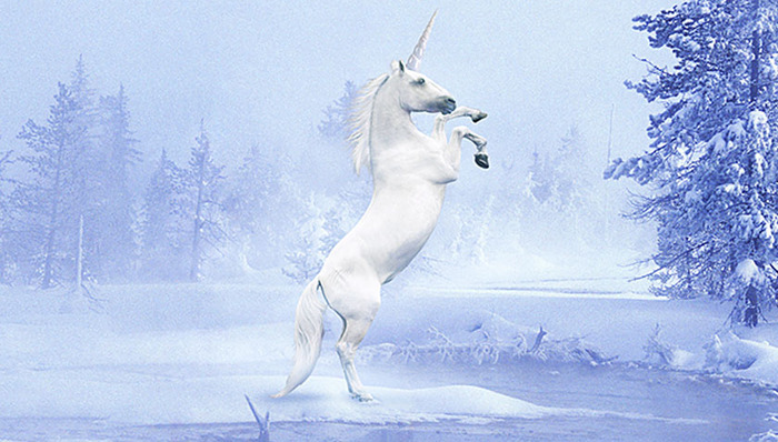 独角兽,摩拜,公司数量,上海金融,公司的概念,,,消费升级,荣誉称号,大腿,神兽