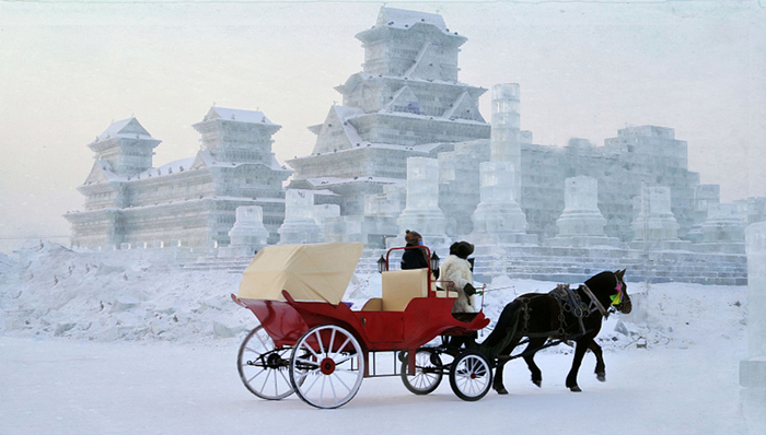 旅行社,公共教育,雾霾,急救知识,必修课,特斯拉,袭警罪,南水北调