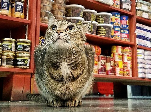 无人货架,新零售,无人零售,线下,无人货柜,O2O,壁垒