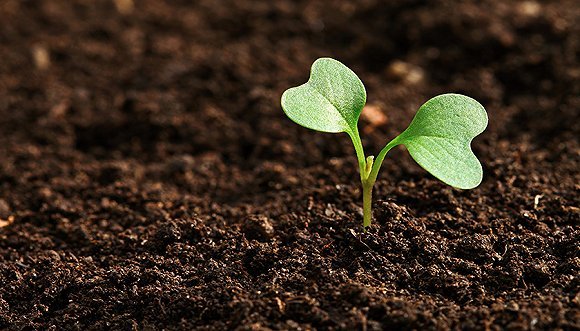 硅谷,乔布斯,创新