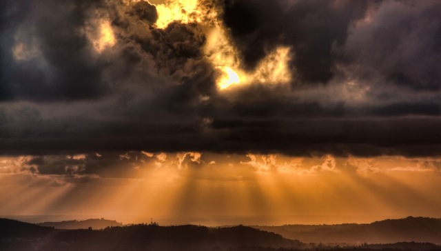 特朗普,中美贸易战,关税,301调查,232调查,钢铁,铝