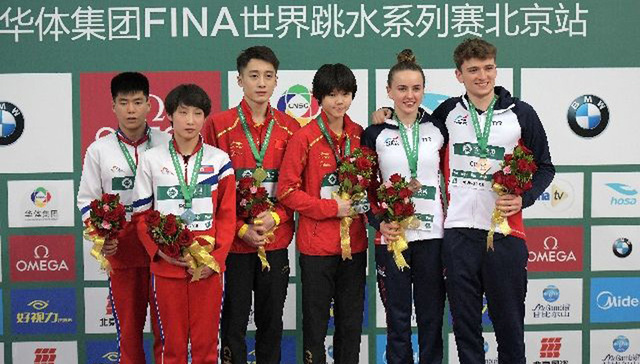 世界跳水系列赛