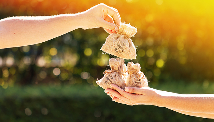 毛阿敏,中植系,解直锟,中融信托