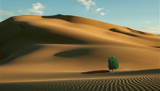 商业价值,社会价值,波特,克莱默,诺基亚,企业战略,GE