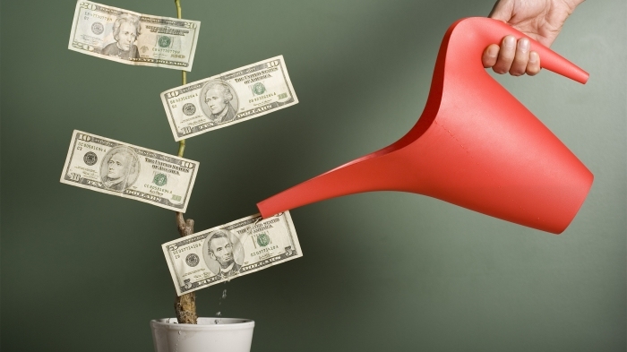 借壳,金钱鱼,加加,上市条件,IPO,上市申请,金枪鱼延绳钓,东方钽业,香颂,意向书