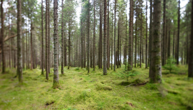 十三届全国人大,生态环境部,机构改革