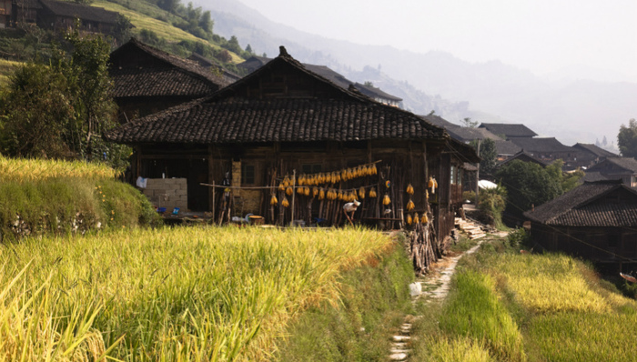 中共中央办公厅、国务院办公厅印发《农村人居环境整治三年行动方案》