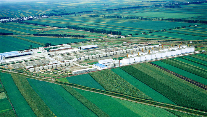 黑龙江农垦,集团化改革,社会职能