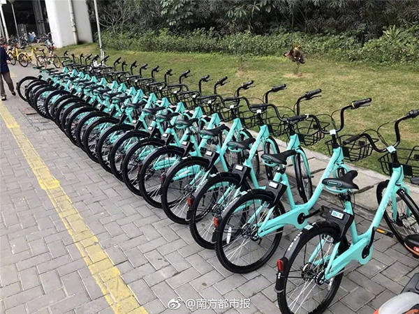 滴滴违规投放“青桔单车” 被深圳市交委叫停