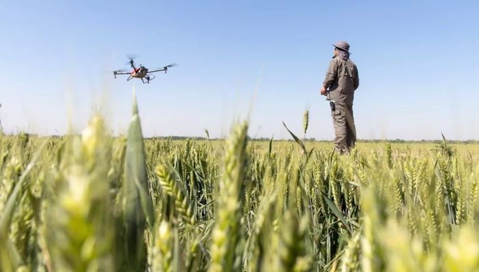 大疆创新,科技圈日常