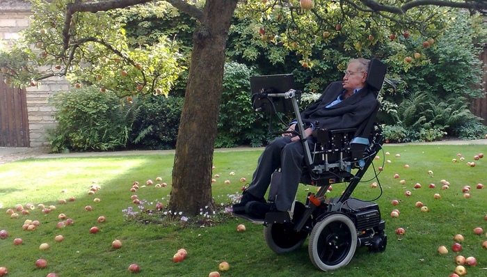 逝者,欧洲社会,大人物,霍金