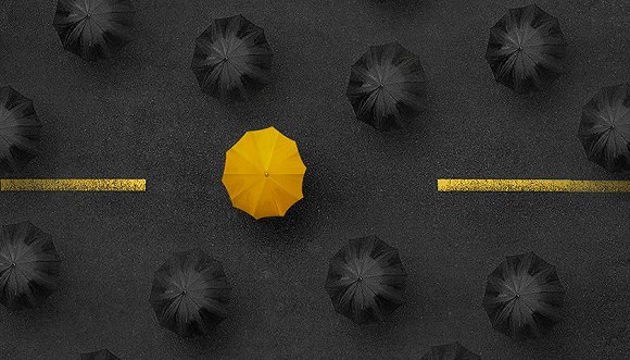 关键少数,企业绩效,团队协作