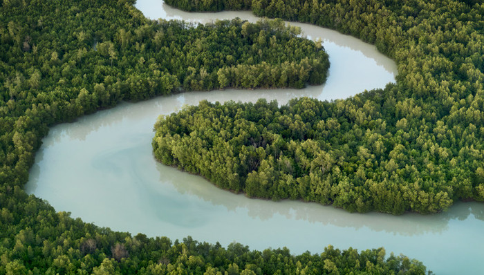 生态环境部,环境执法队伍,九龙治水