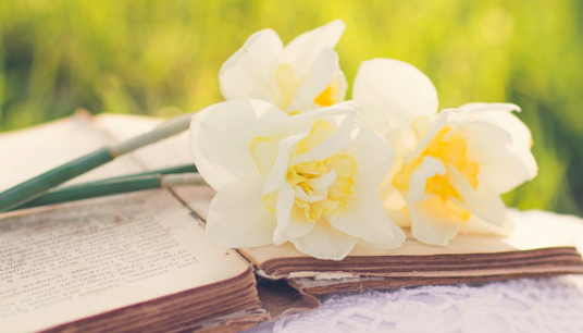 【一周新书推荐】“最好的艺术会替那些沉默的群体发声”